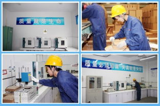 海螺耐火材料公司 服務水泥主業，打造行業精品耐火材料